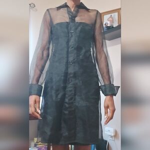 La Belle Black Sheer Long Sleeve Dress